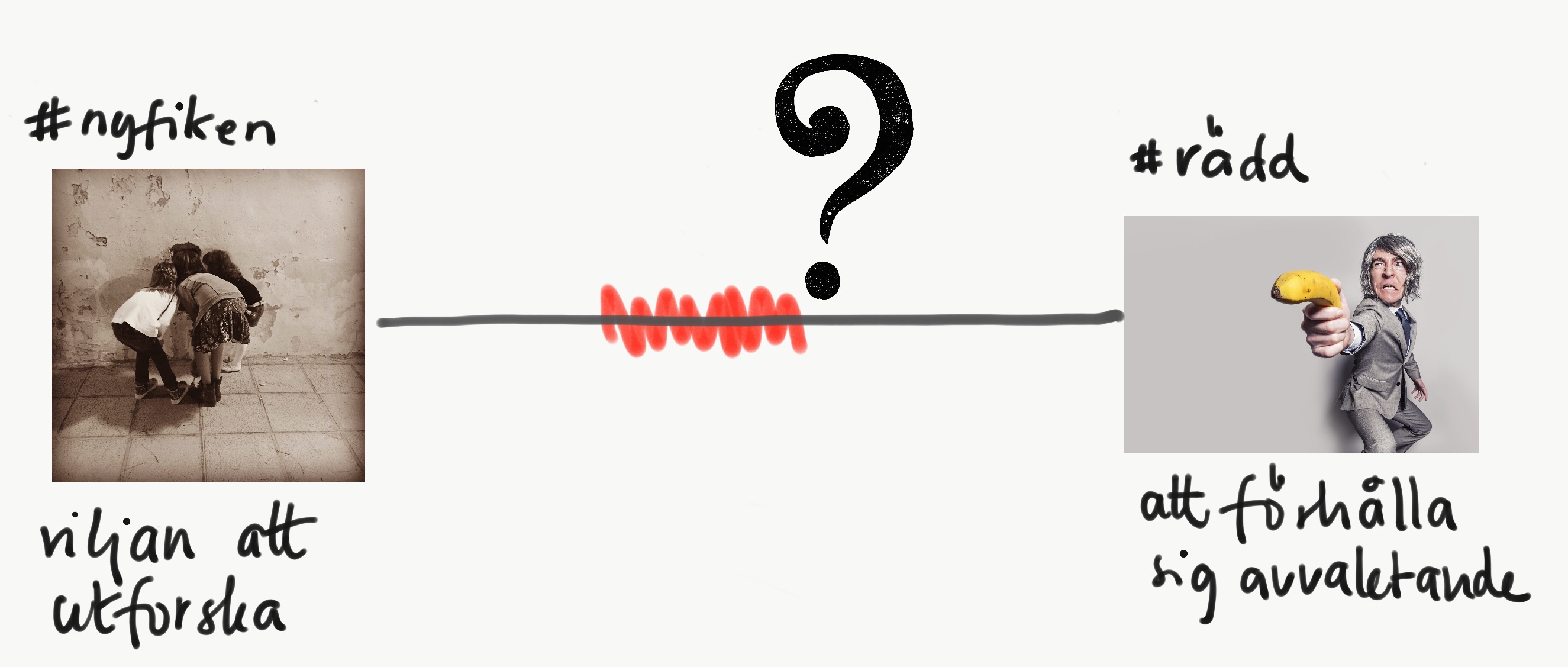 EFBABA5D-0D9B-419D-8A35-E7BBD0E6C3EA kopia