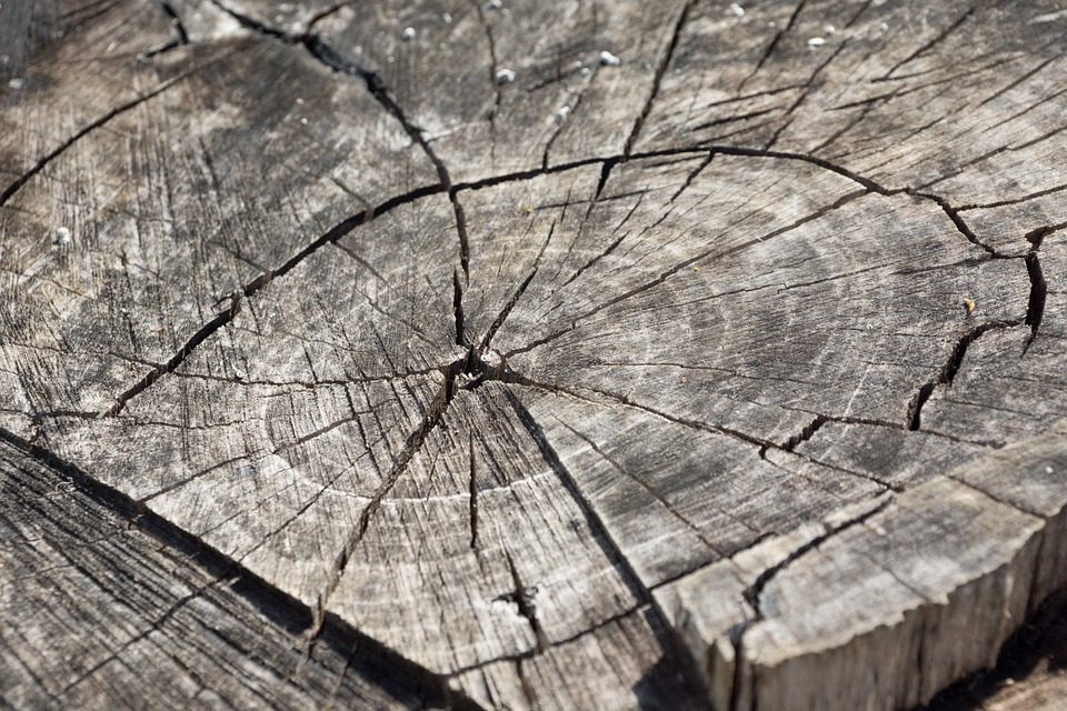 wood-366735_960_720