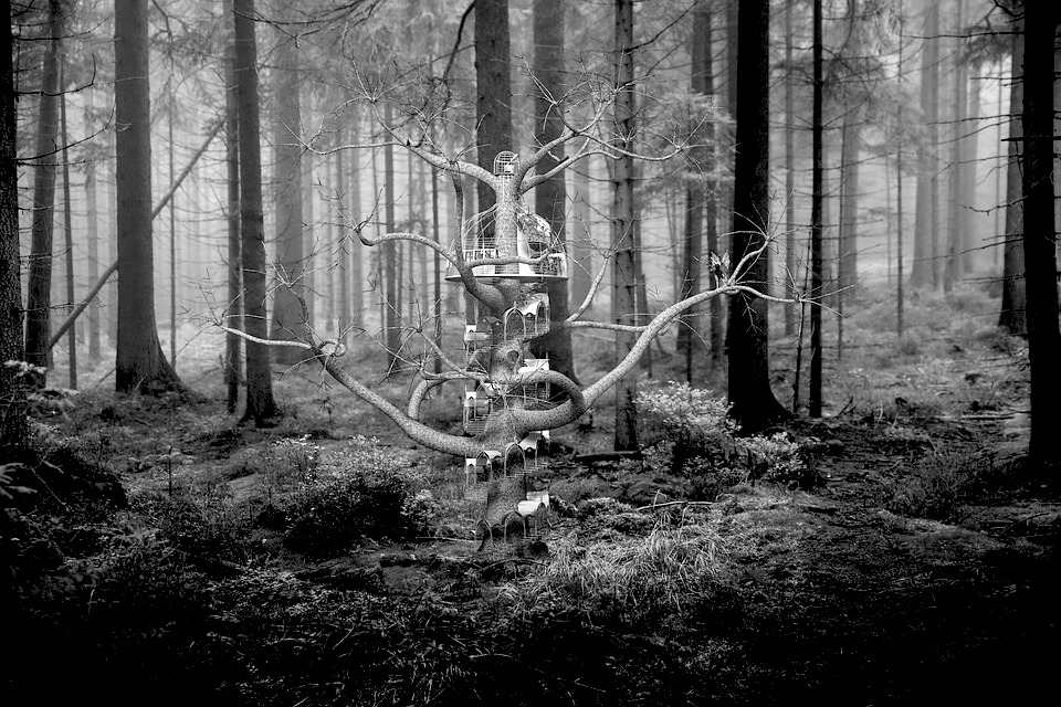 fantasy-3026478_960_720