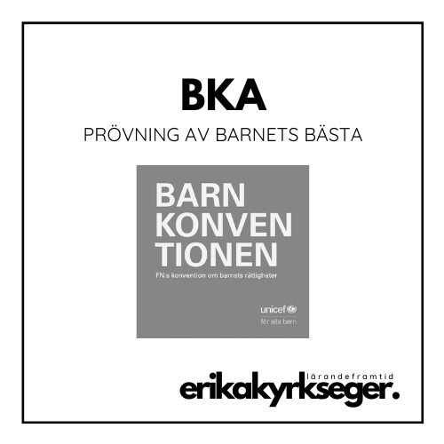 Mall: BKA – prövning av barnets&nbsp;bästa